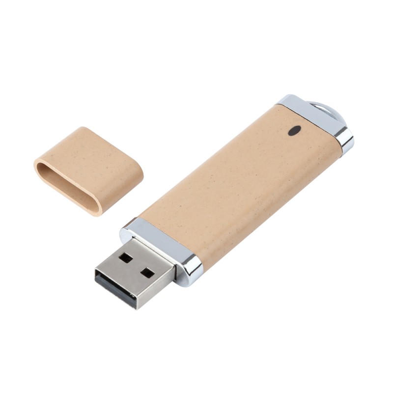 USB Flash Drive Washington Eco