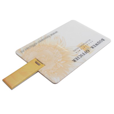 USB Flash Drive Palo Alto
