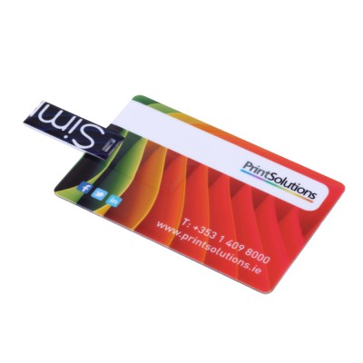USB Flash Drive Palo Alto
