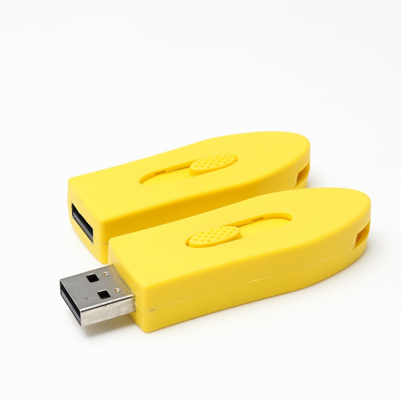 USB Flash Drive Punta Arenas
