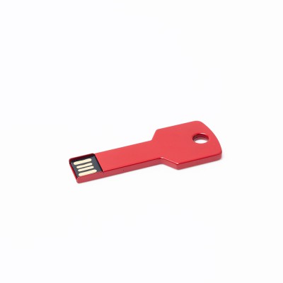 USB Flash Drive Rotterdam
