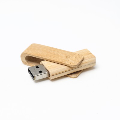 USB Flash Drive New Mexico