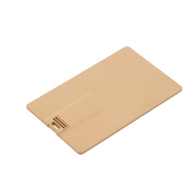 USB Flash Drive Fairbanks