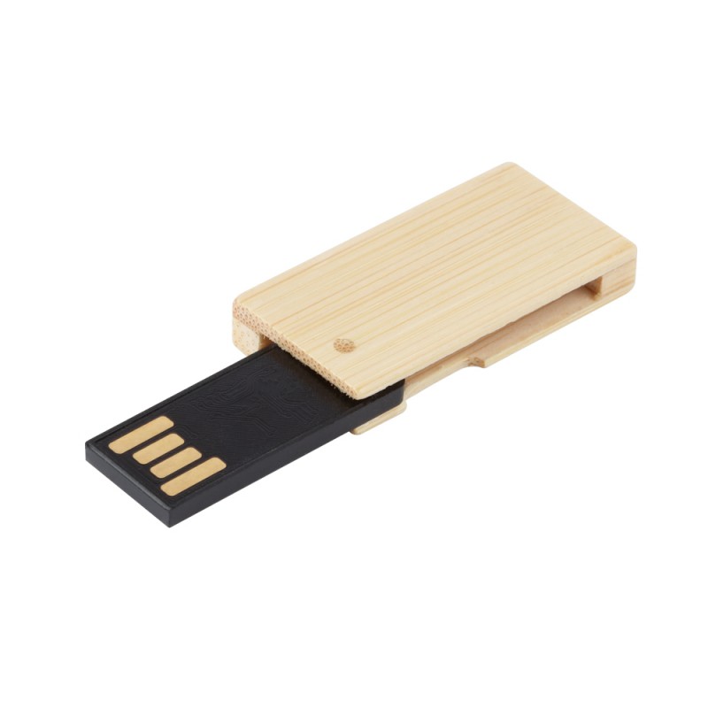 USB Flash Drive Saramacca