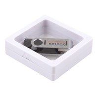 Plastic Window USB Box (small)